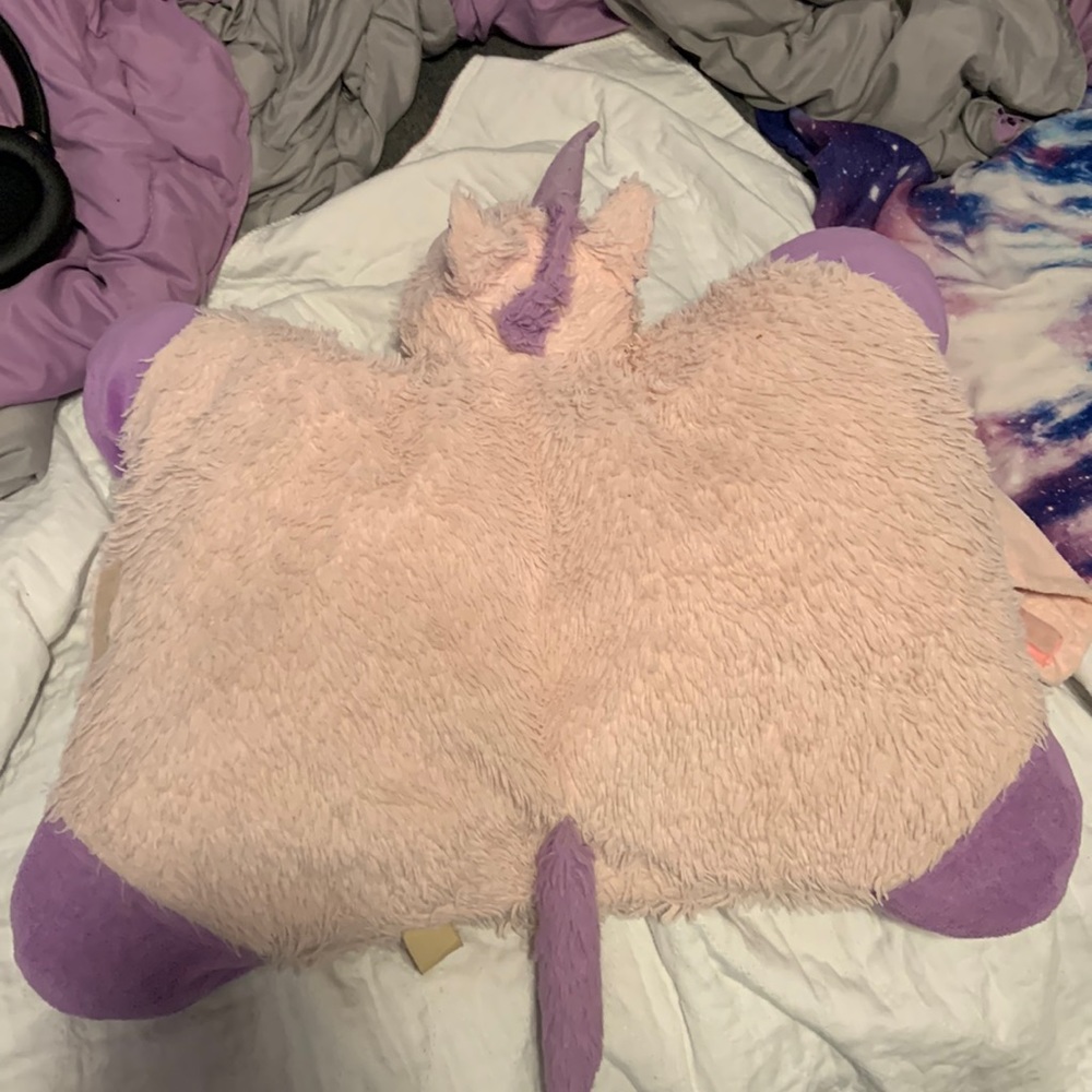 Pillow pet